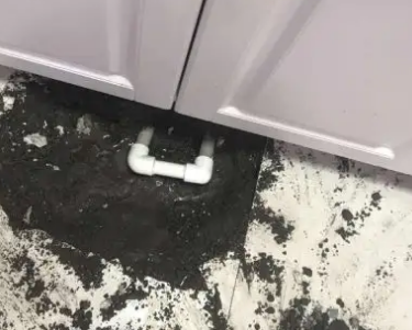 肃北查漏水哪家好